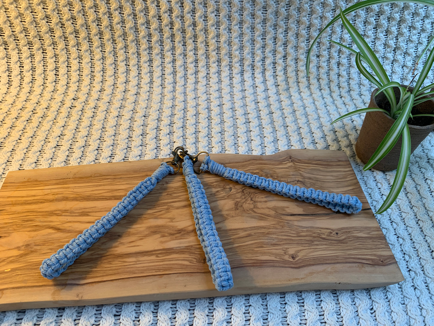 Single colour wristlet